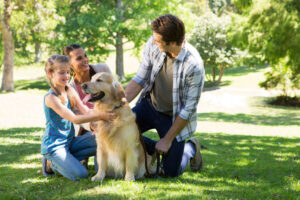 The Unconditional Love and Joy of Pet Companionship